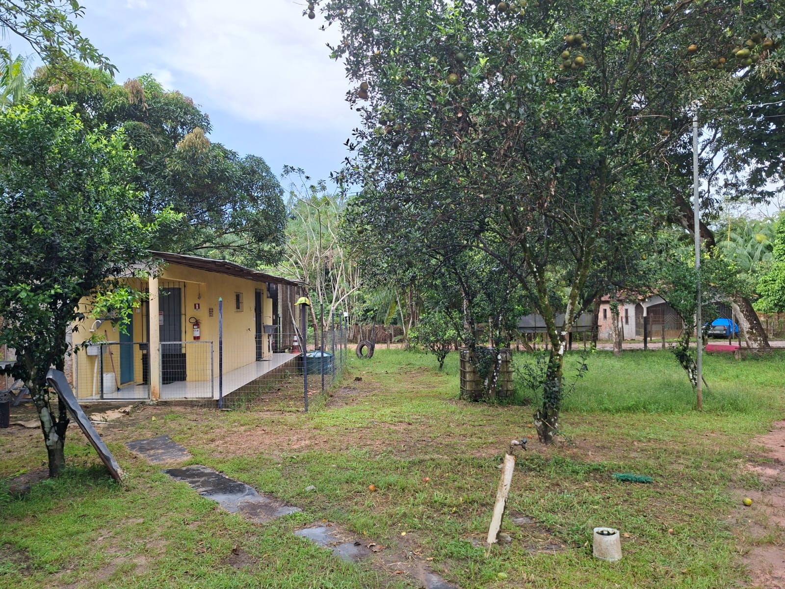 VENDO UM IMÓVEL TIPO SÍTIO, LOCALIZADO NO RAMAL MOJUQUARA, VILA DOS CABANOS, BARCARENA/PA.