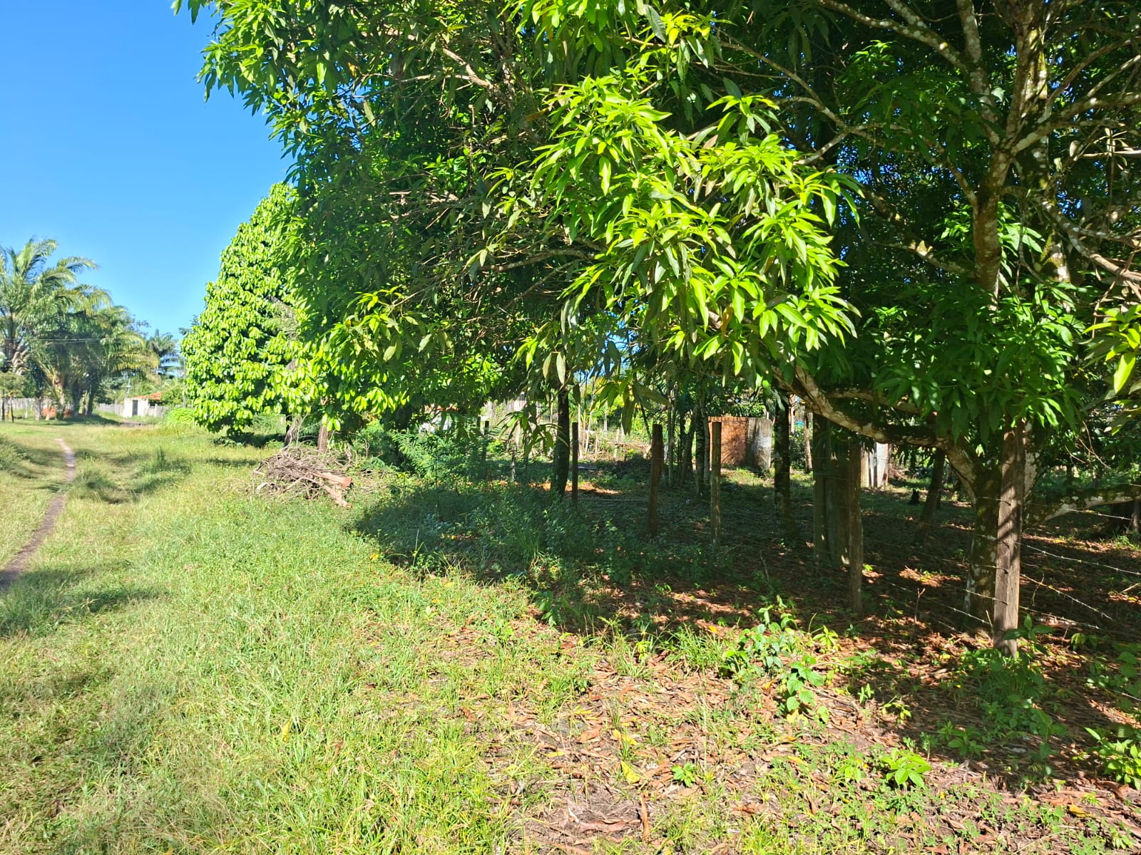 VENDO TERRENO MEDINDO 37 X 75 - BAIRRO FAZENDINHA - BARCARENA-PA.