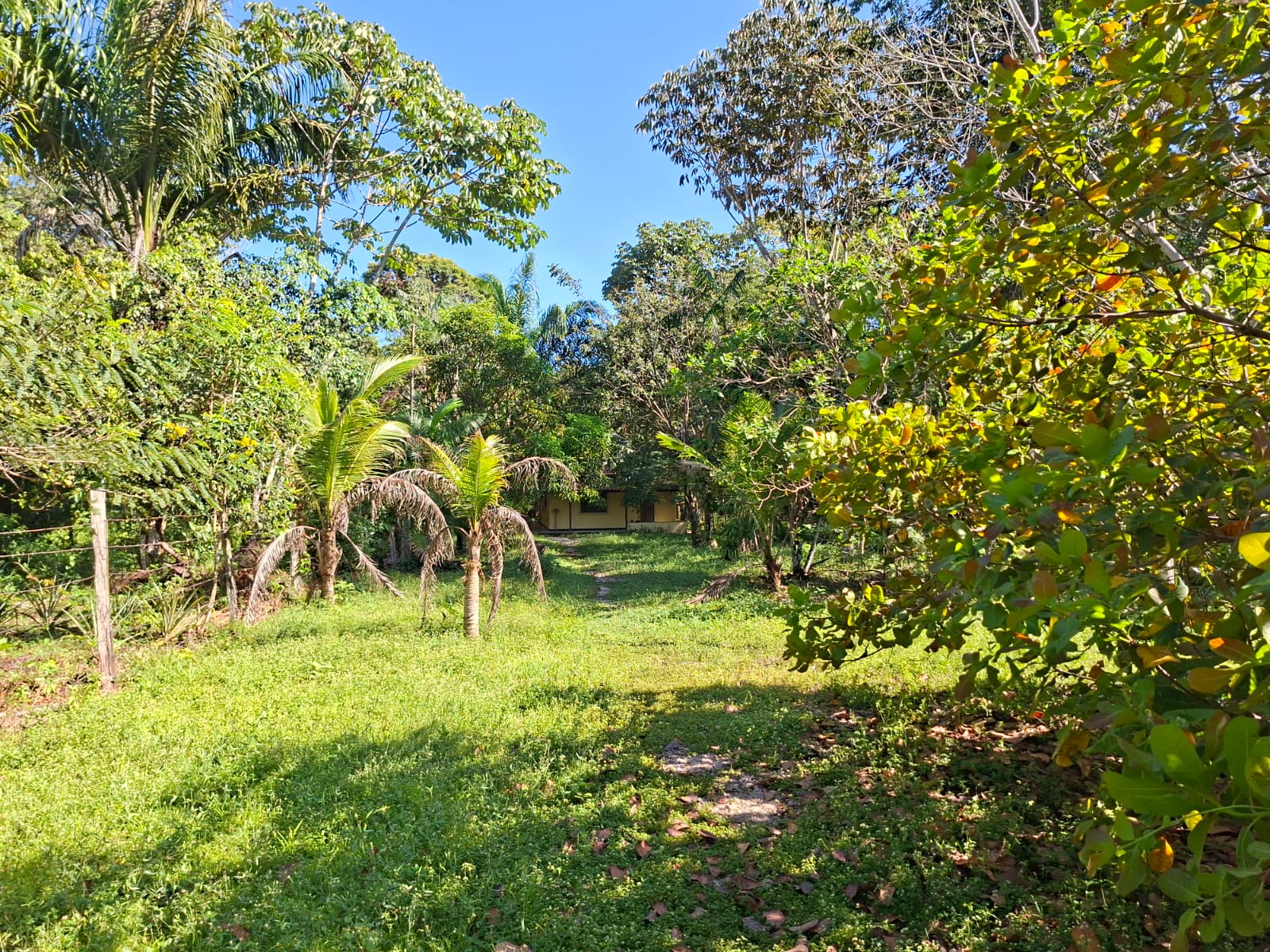 VENDO CASA COM TERRENO MEDINDO 15 X 180 - BAIRRO FAZENDINHA - A 800 M DA PRAIA - BARCARENA/PA.