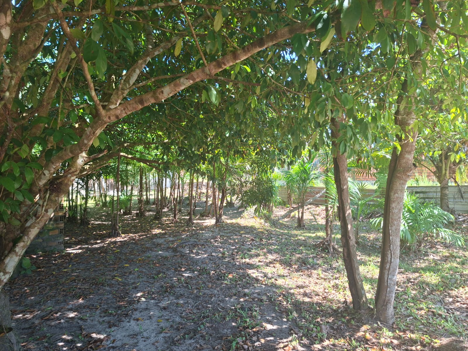ATENÇÃO INVESTIDORES – VENDO UM IMÓVEL URBANO RESIDENCIAL/COMERCIAL COM GALPÃO – MEDINDO 1.800 M² - EM VILA DOS CABANOS – BARCARENA/PA.