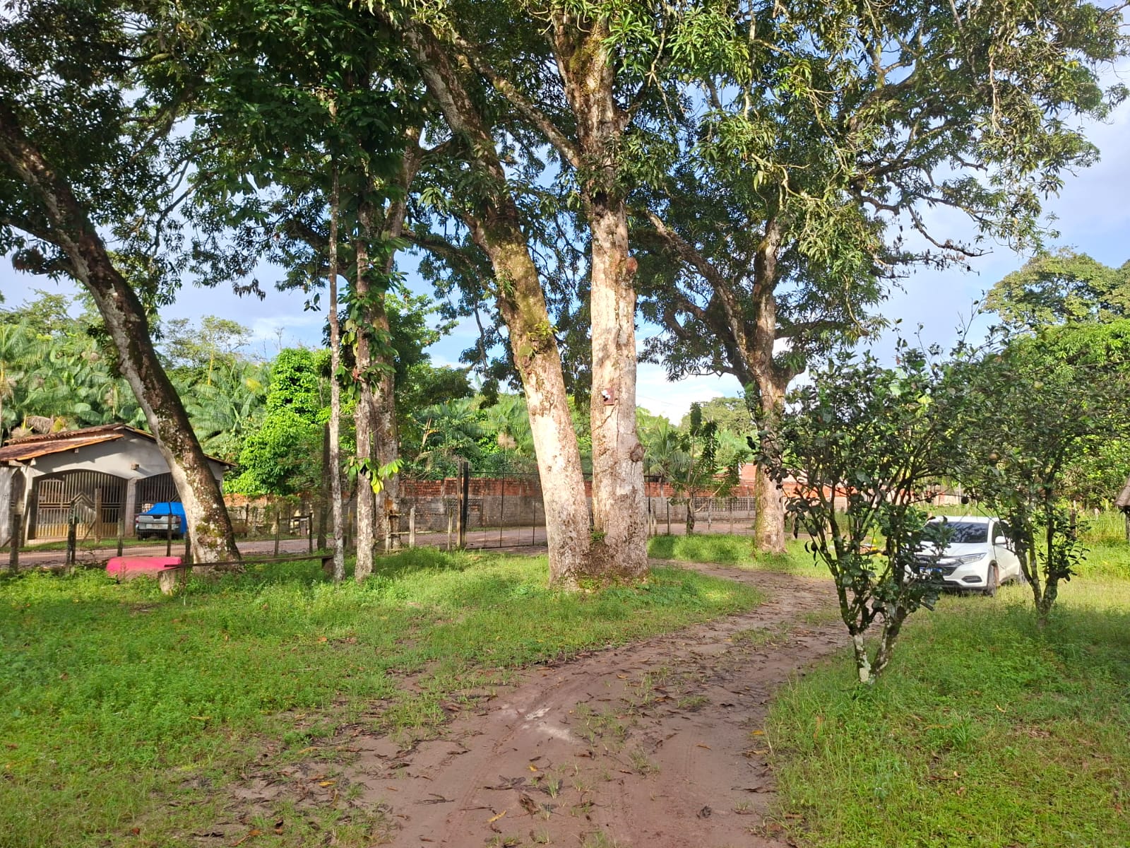 VENDO UM IMÓVEL TIPO SÍTIO, LOCALIZADO NO RAMAL MOJUQUARA, VILA DOS CABANOS, BARCARENA/PA.